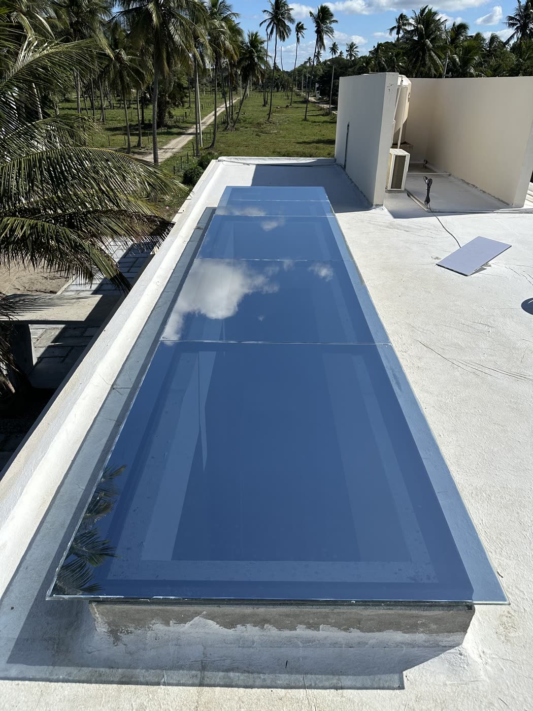 Tragaluz con película exterior Silver 15 entre palmeras